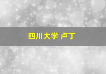 四川大学 卢丁